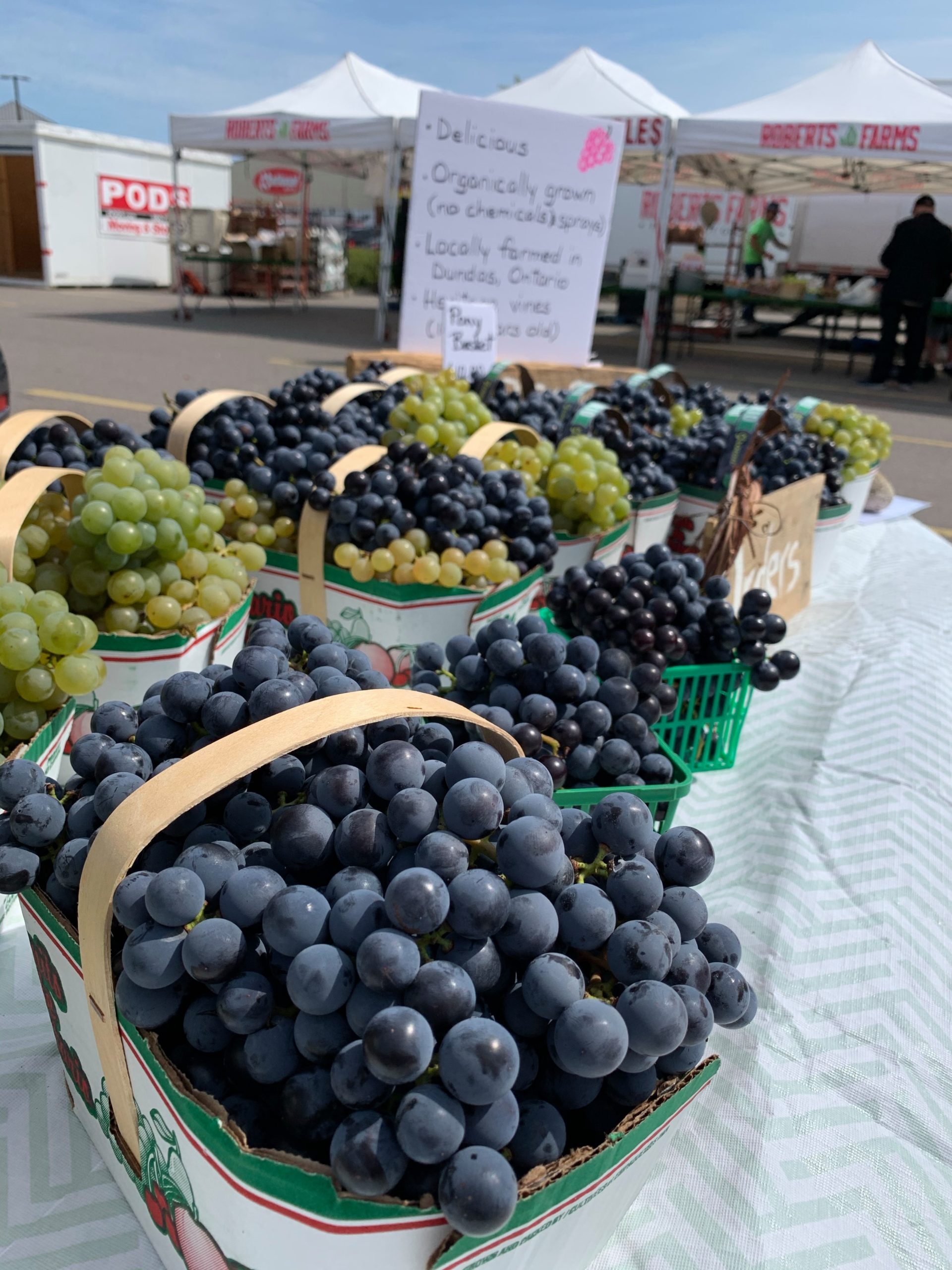 Oakville Civitan Farmers Market