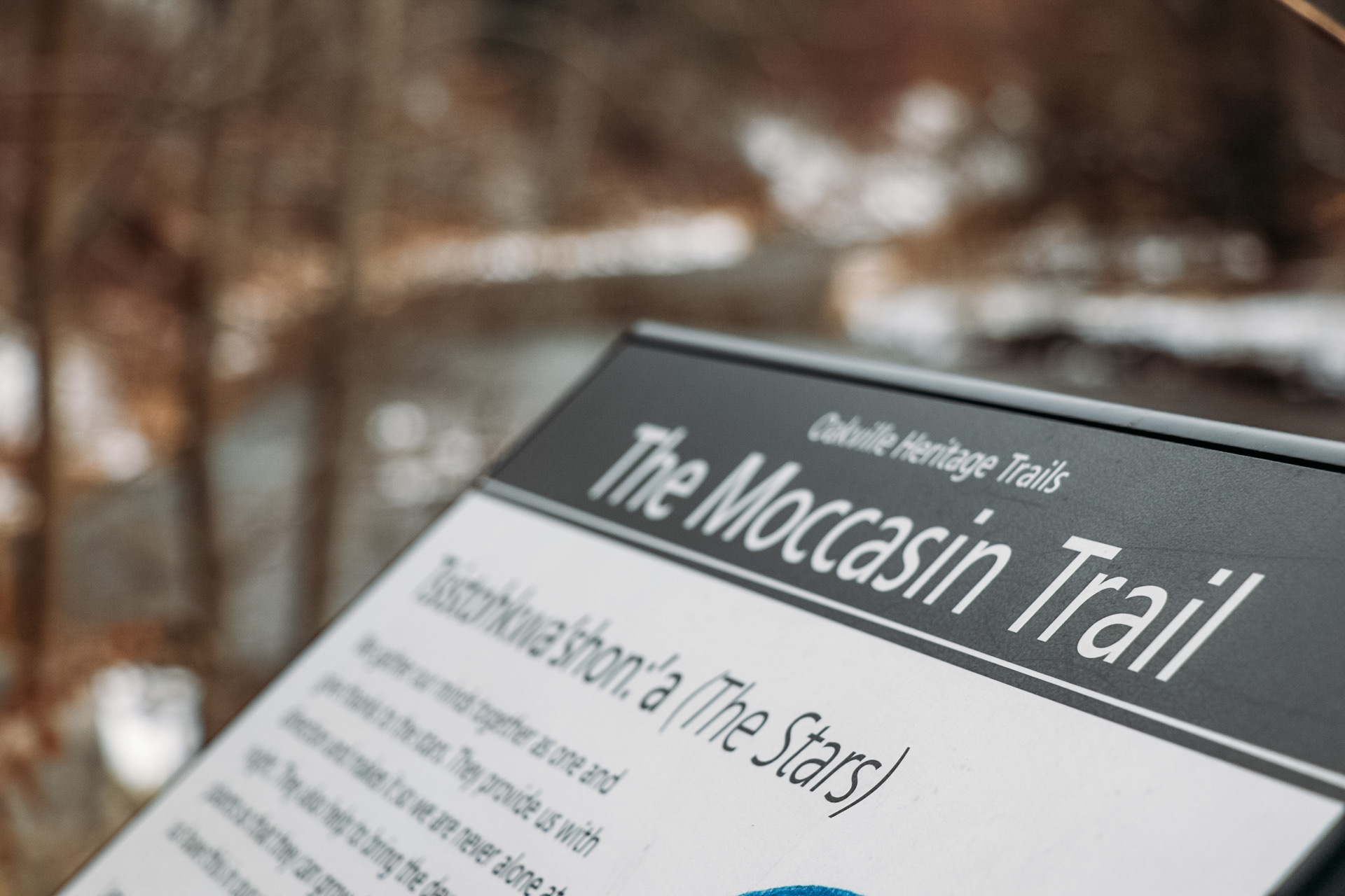 Moccasin Trail Walks