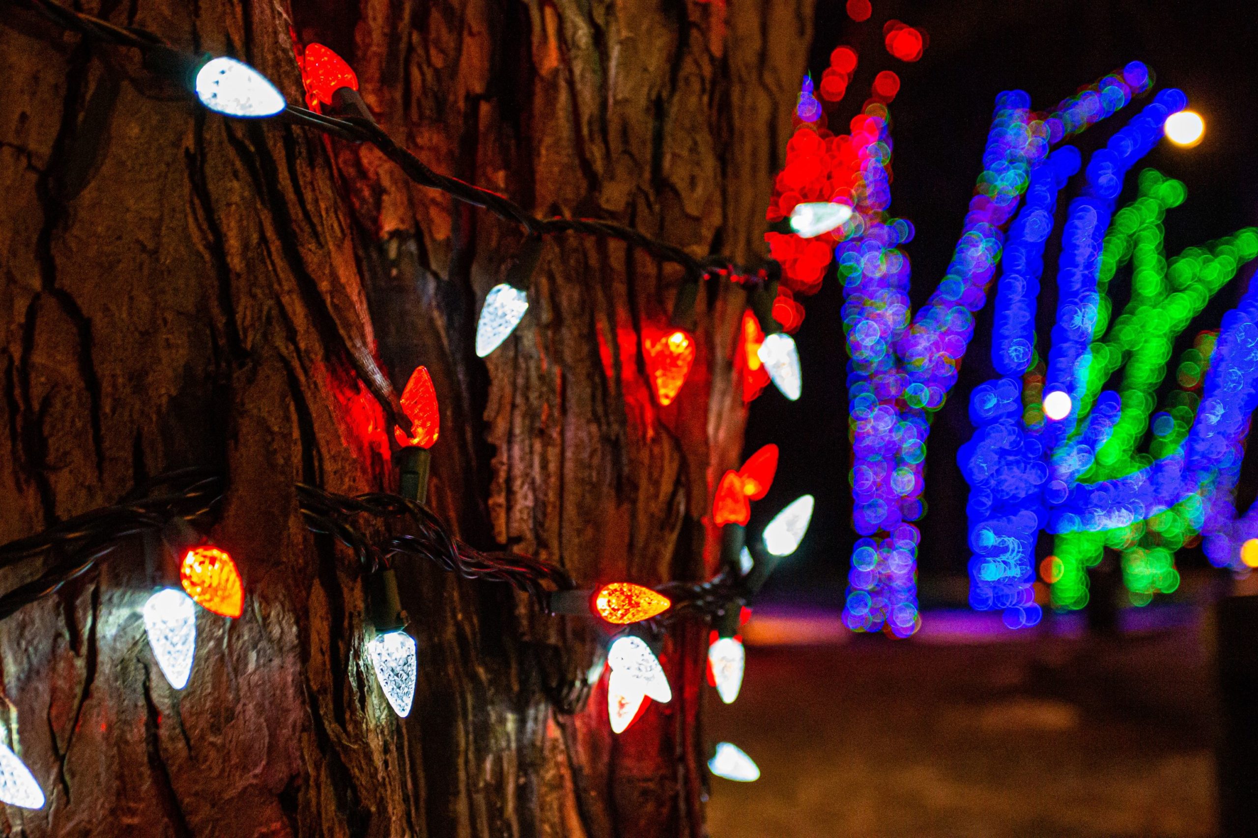 Holiday Lights by the Lake 2024
