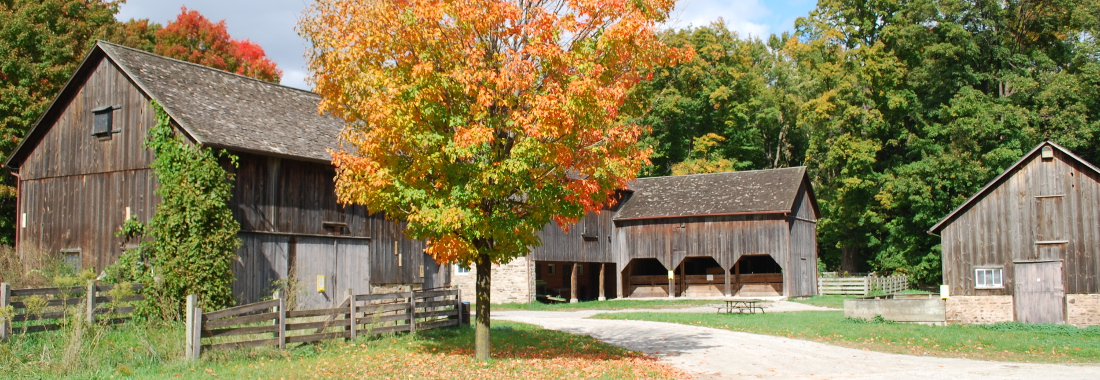 Fall Harvest Festival 2024 - Sept 28