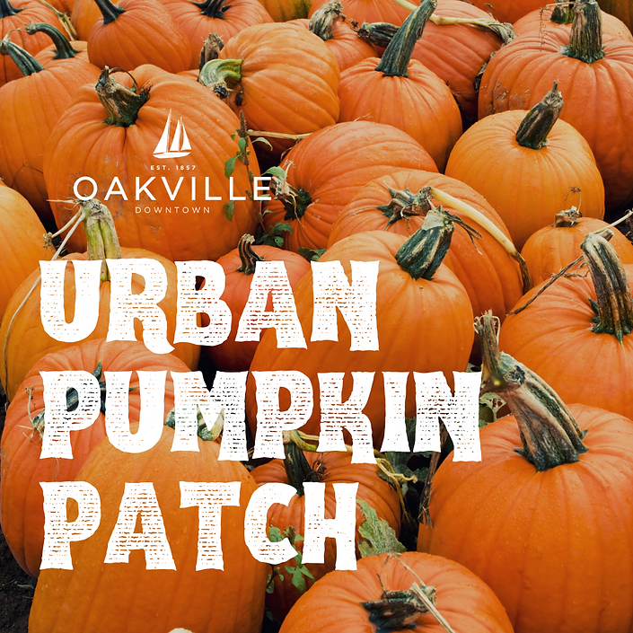 Urban Pumpkin Patch - 2023