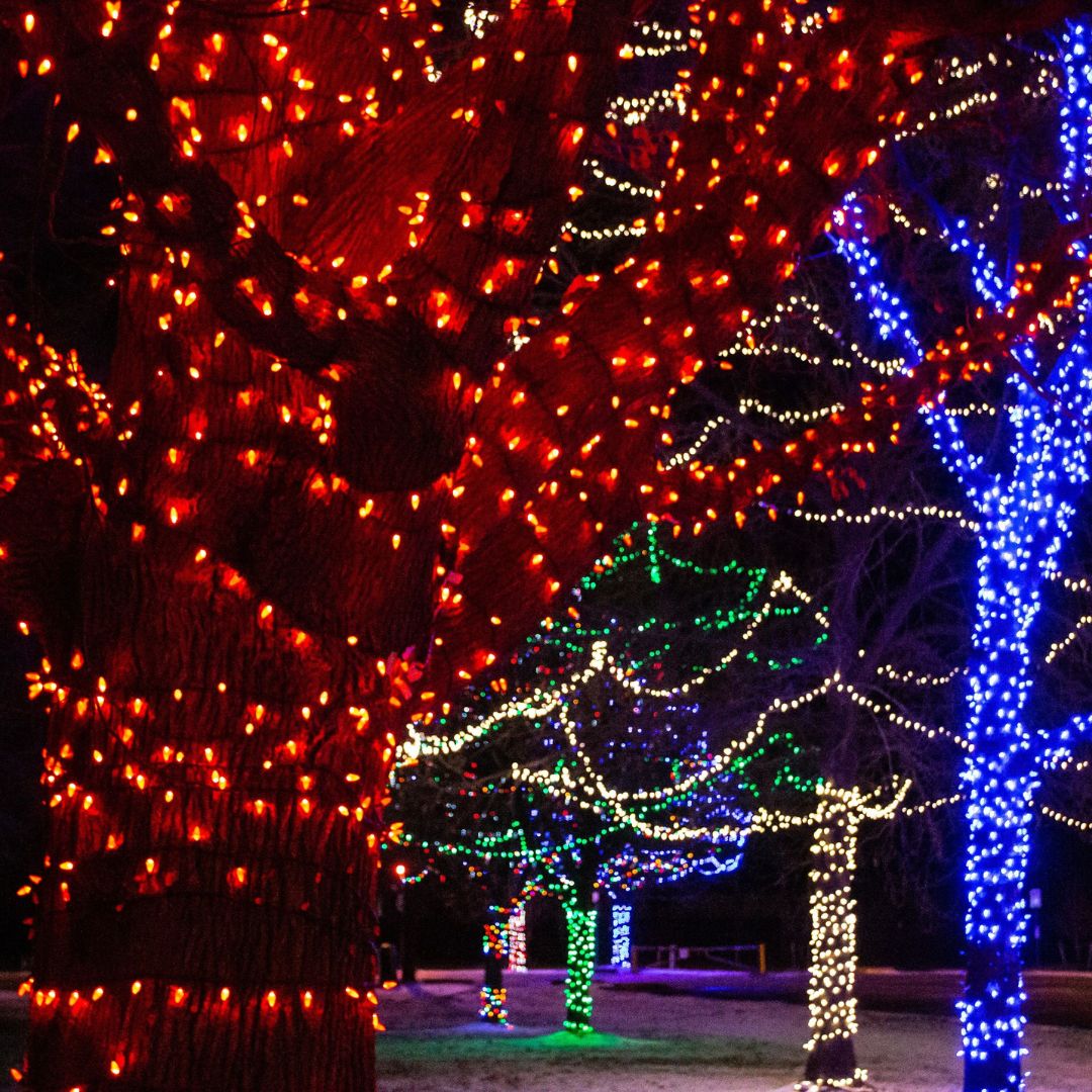 Holiday Lights by the Lake