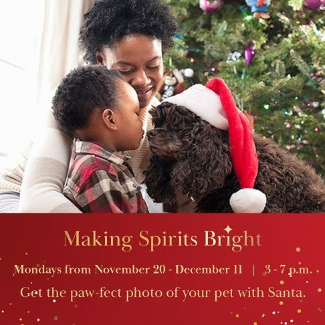 Photos with Santa at Oakville Place