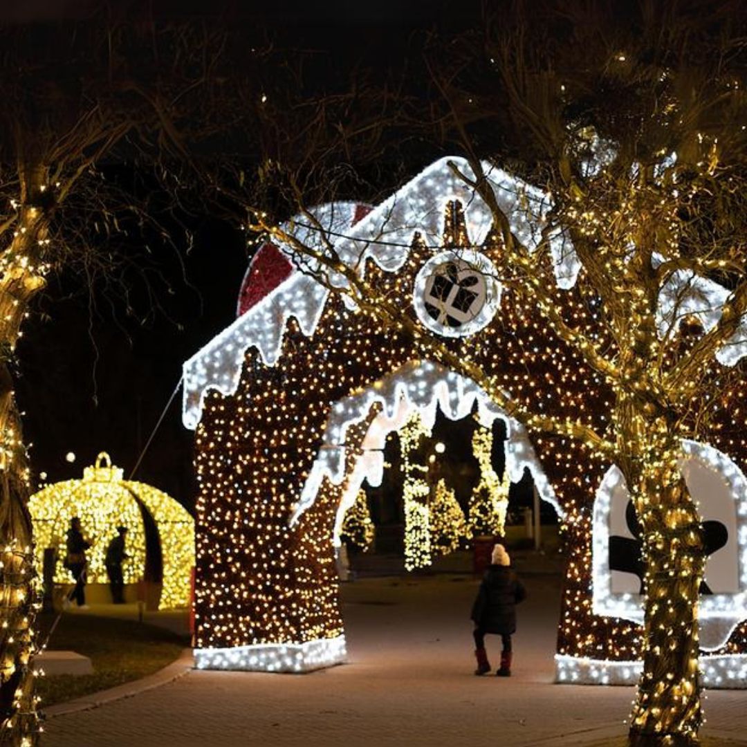 Winter Wonderland of Lights 2024