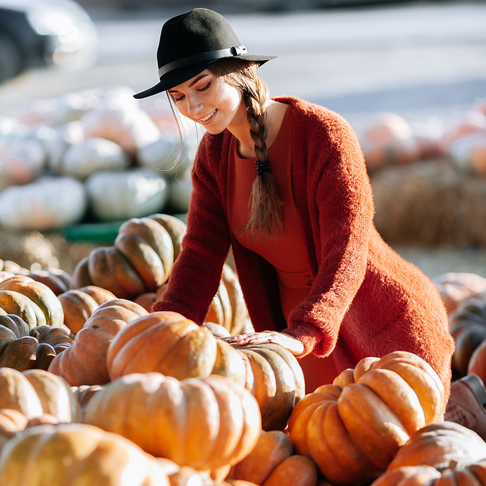 Urban Pumpkin Patch - 2024