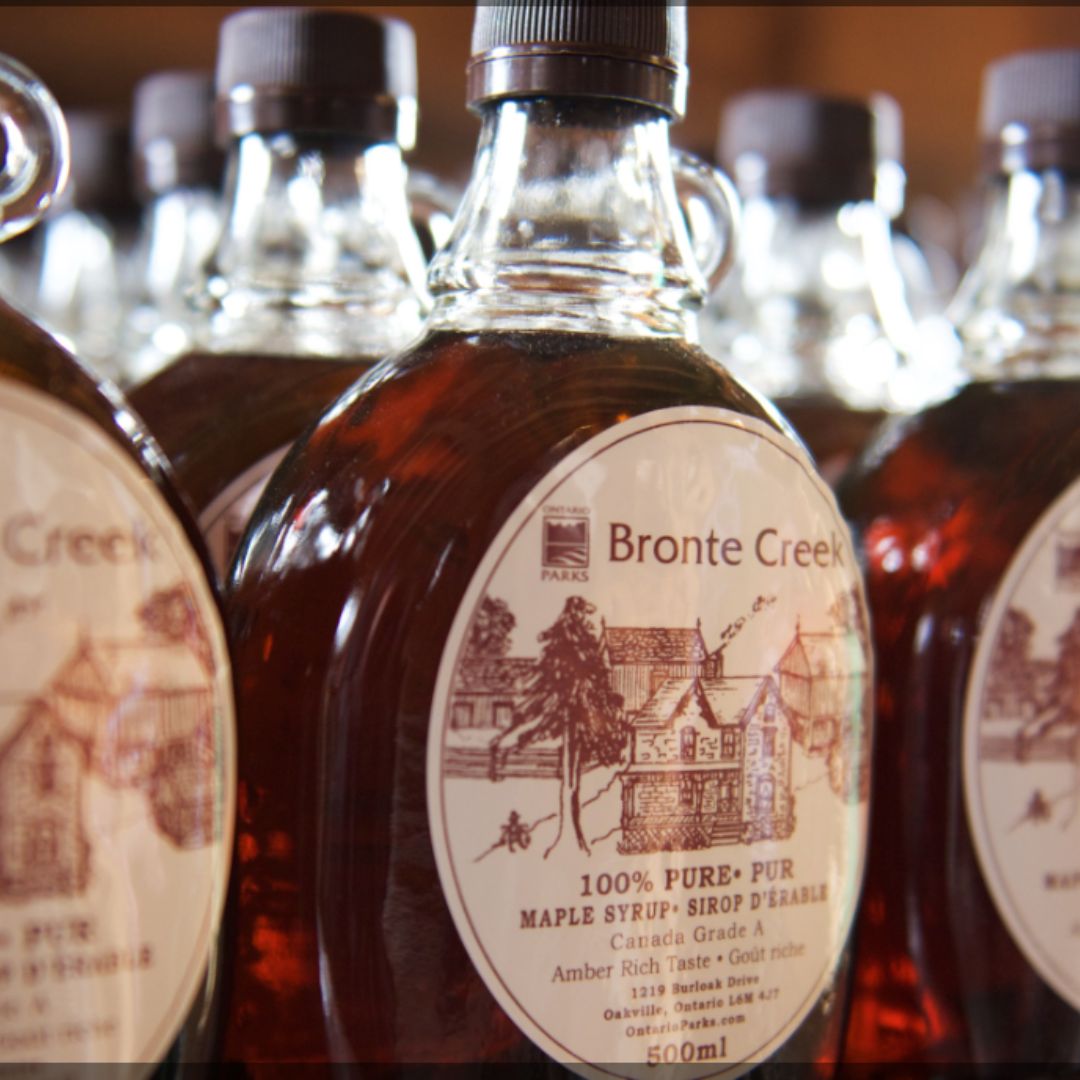2025 Maple Syrup Festival (March 1-2)