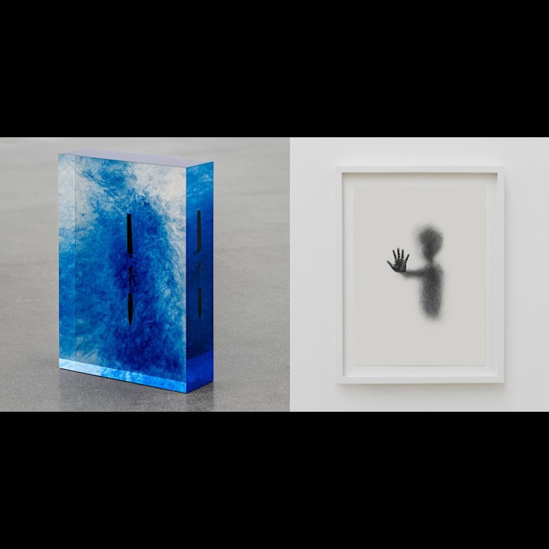 Art Speaks | Luis Jacob on Tarik Kiswanson