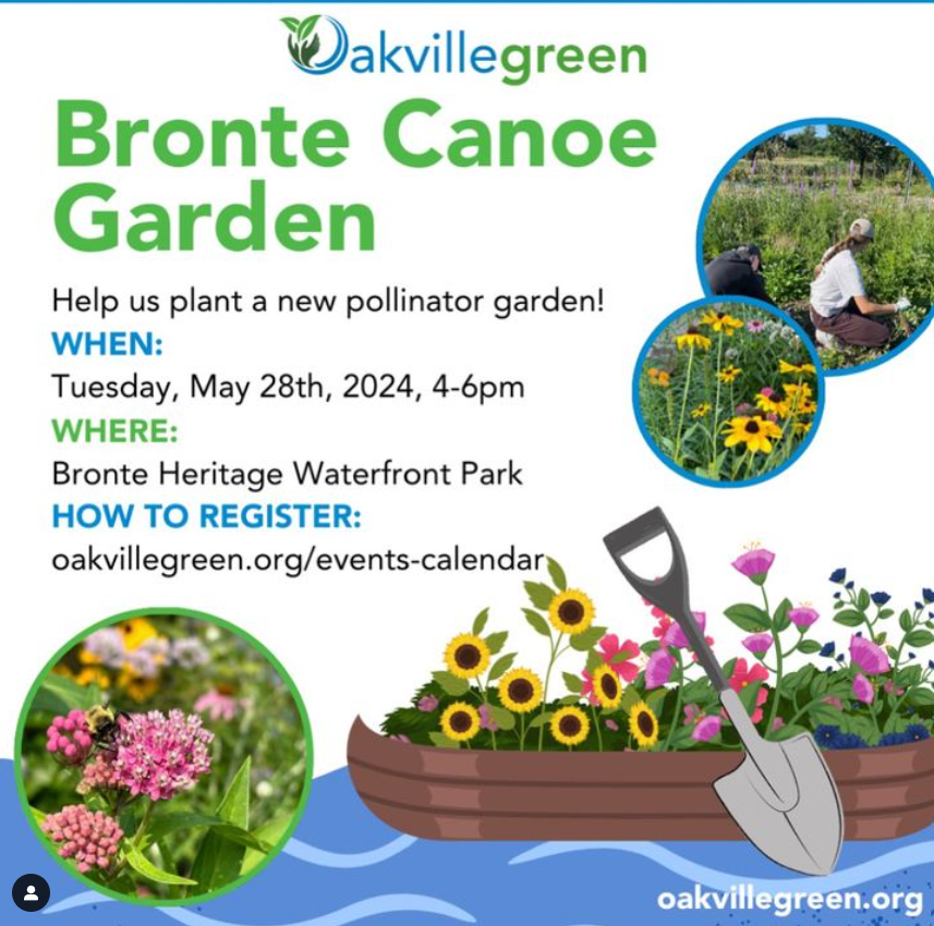 Bronte Canoe Garden