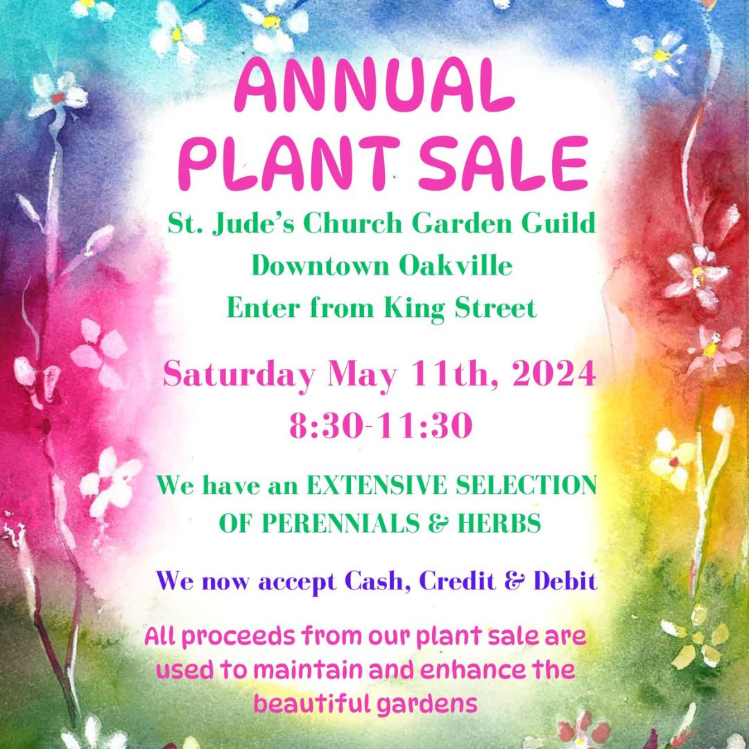 St. Jude's Annual Perennial Sale