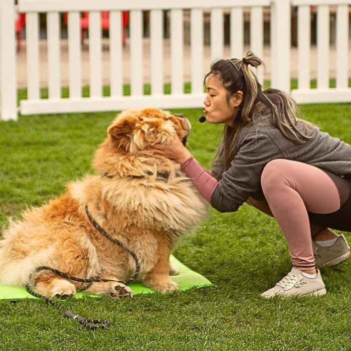 Dog Yoga presented by Yoga Kawa