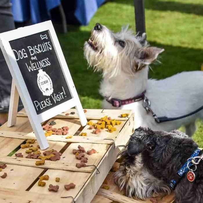 Pup-Up Market
