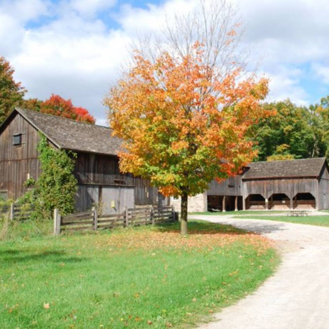 Fall Harvest Festival 2024 - Sept 29