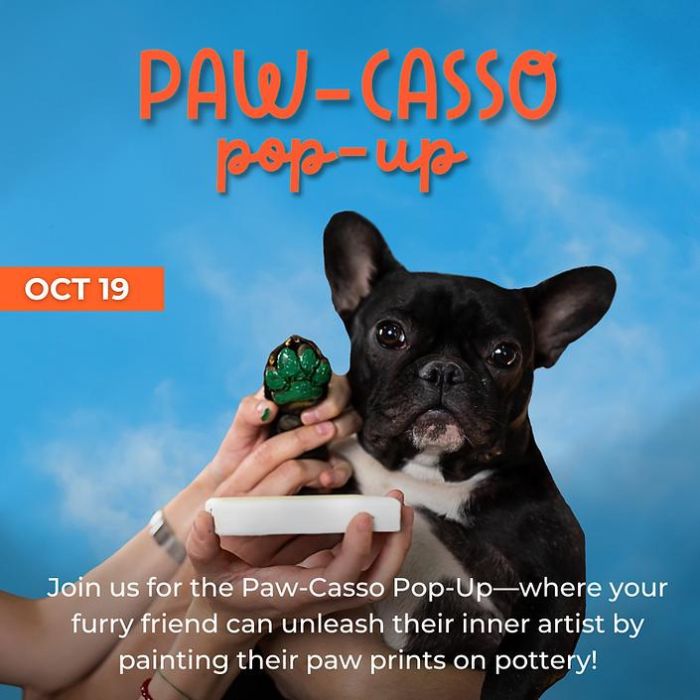 Paw-Casso Pop Up