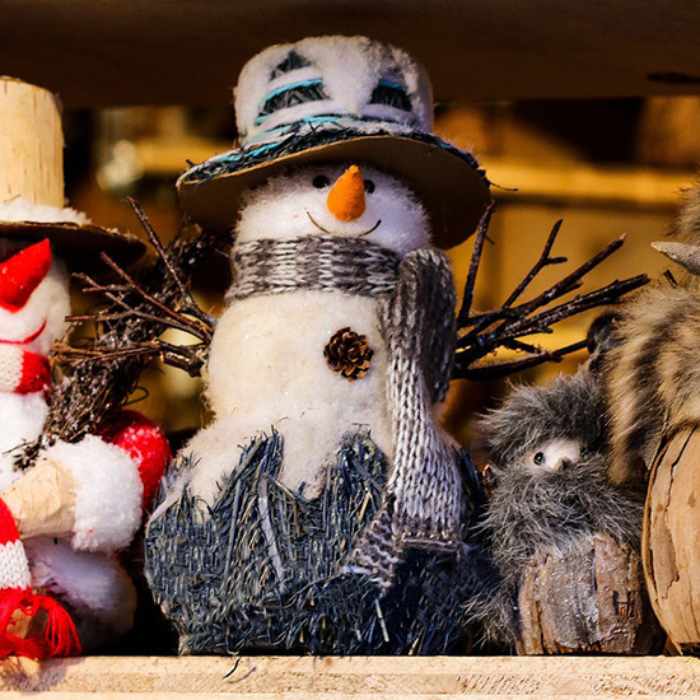 Oakville Museum | Winter Craft and Tour (Dec 27)