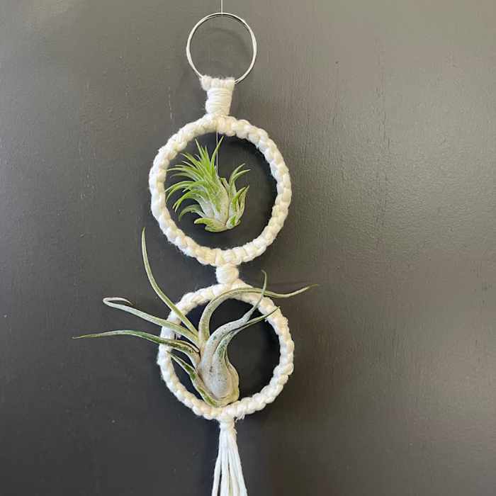 March Break Kids' Macrame and Air Plant Workshop