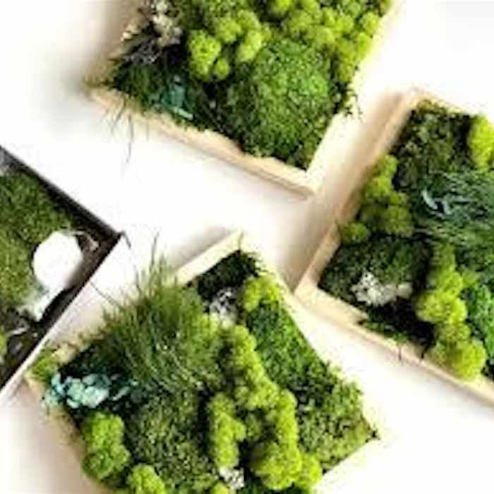 March Break Kids' Moss Art Workshop