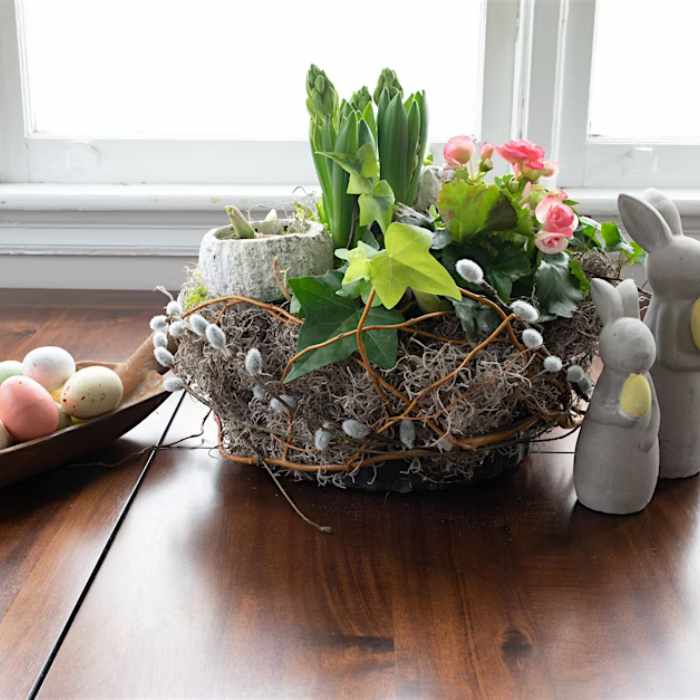 Spring Nest Workshop
